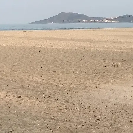 Zen Vue Sans Etre Vu *